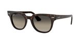 sluneční brýle Ray-Ban RB2168 METEOR 902/32