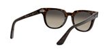 sluneční brýle Ray-Ban RB2168 METEOR 902/32