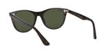 sluneční brýle Ray-Ban RB2185 WAYFARER II 902/31