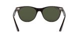 sluneční brýle Ray-Ban RB2185 WAYFARER II 902/31