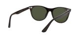 sluneční brýle Ray-Ban RB2185 WAYFARER II 902/31