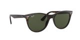 sluneční brýle Ray-Ban RB2185 WAYFARER II 902/31