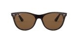 sluneční brýle Ray-Ban RB2185 WAYFARER II  901/57