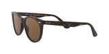 sluneční brýle Ray-Ban RB2185 WAYFARER II  901/57