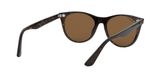 sluneční brýle Ray-Ban RB2185 WAYFARER II  901/57