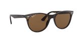 sluneční brýle Ray-Ban RB2185 WAYFARER II  901/57