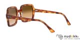 Sluneční brýle Ray-Ban RB2188 130051