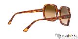 Sluneční brýle Ray-Ban RB2188 130051