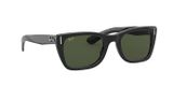 sluneční brýle Ray-Ban CARIBBEAN RB2248 901/31