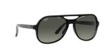 sluneční brýle Ray-Ban POWDERHORN RB4357 654571