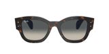 sluneční brýle Ray-Ban RB7681S 140171 Jorge