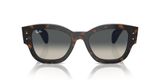 sluneční brýle Ray-Ban RB7681S 140171 Jorge