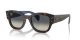 sluneční brýle Ray-Ban RB7681S 140171 Jorge